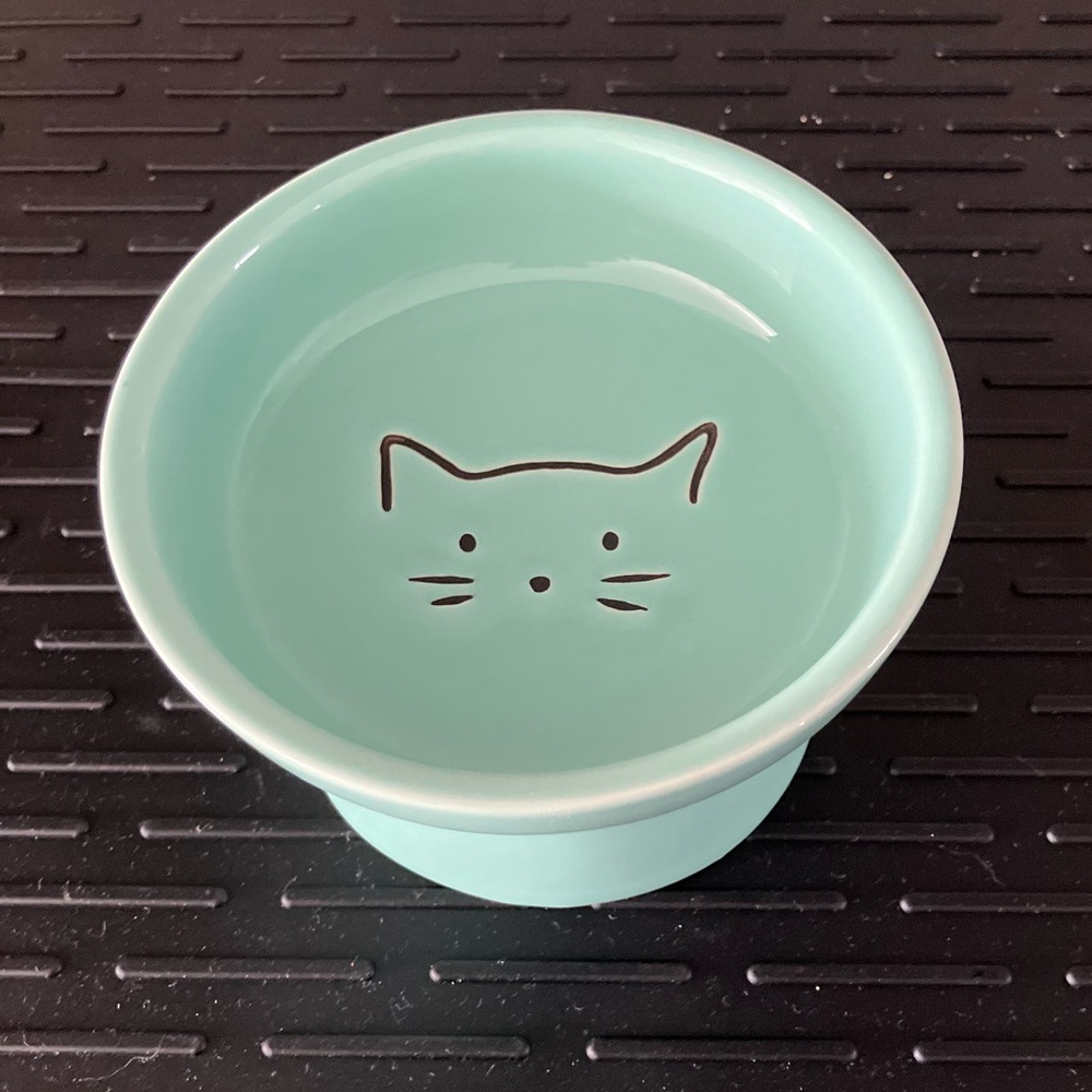 Elevated Mint Green Cat Bowl